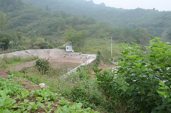 一米农场